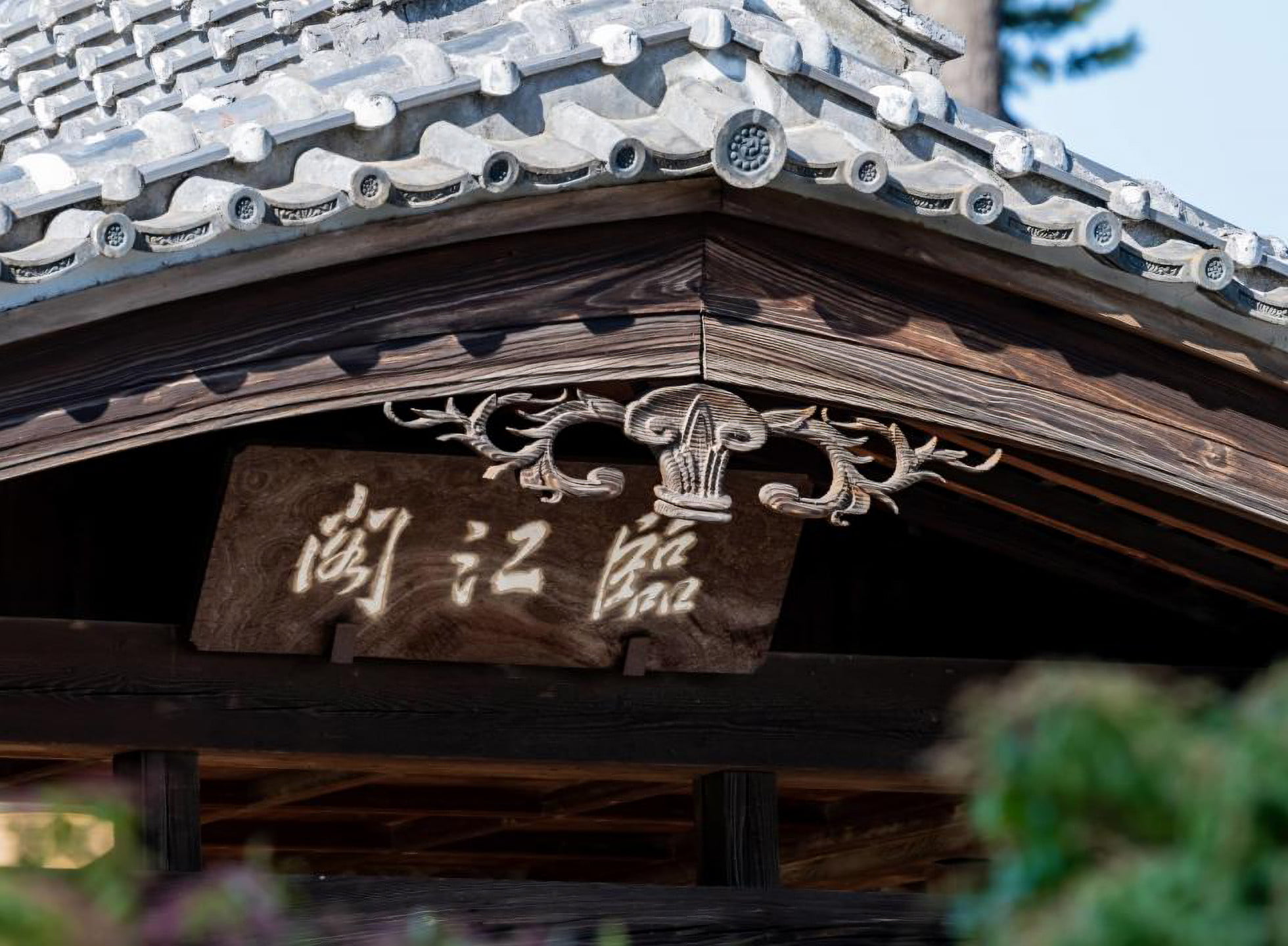 前橋公園の風景